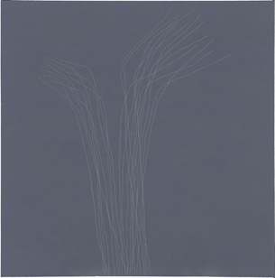 Titelbild Hanna Werner