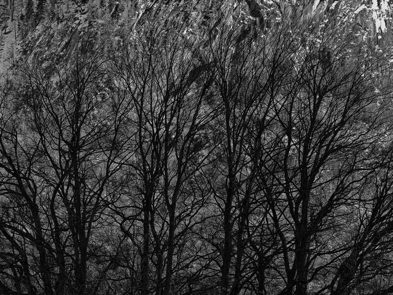 Stacks Image 170